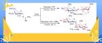【Org. Lett.】中国科学院成都生物所马小锋：硫脲/磷酸协同催化实现氨基糖的立体选择性糖基化