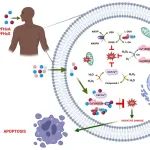 印度KNU大学毒理学实验室SH：短链PFAS“低毒性”？模拟分子对接探究其与关键酶结合的长期健康风险