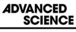鲁东大学徐文龙Adv. Sci.：溶剂置换离子液体热电凝胶，用于机器学习辅助的自供电摩斯电码通信
