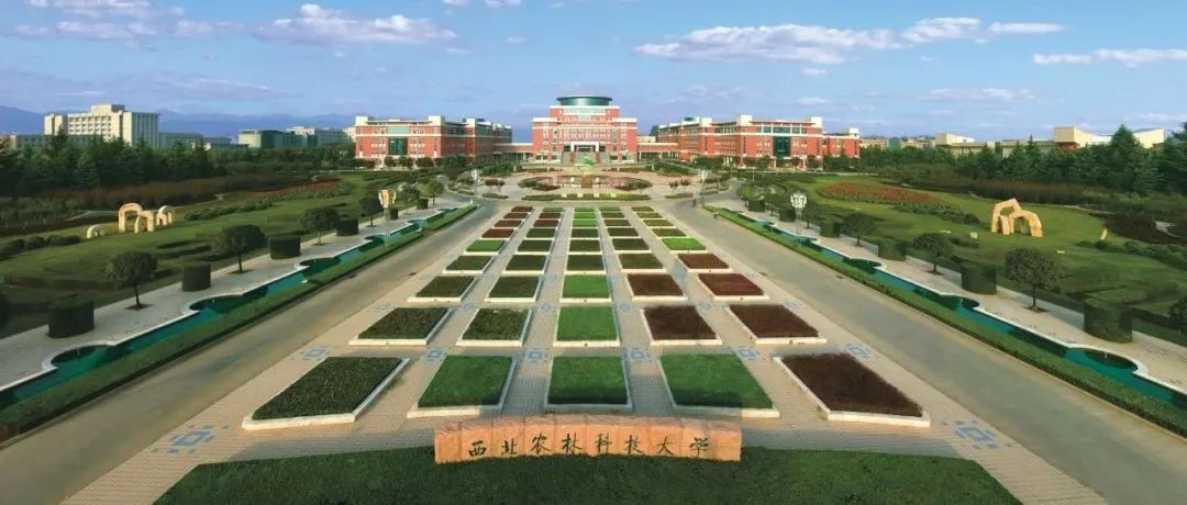 博士毕业于中国农业大学，西北农林科技大学副教授在国际权威期刊（IF=10.3）上发表研究论文