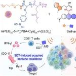 JACS：工程化超声激活的免疫凝胶用于实现乳腺癌免疫代谢紊乱正常化治疗