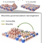 研究前沿：铜双金属-电催化 | Nature Catalysis
