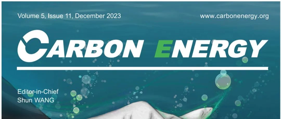 中国科学院物理研究所王兆翔研究员Carbon Energy：全面了解沥青衍生多孔硬碳中的钠储存
