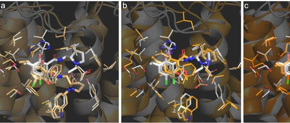 npj Drug Discov｜用于GPCR的基于结构的药物发现