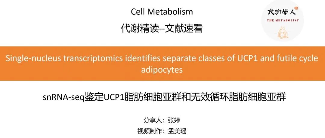 【视频号】Cell Metabolism：米色脂肪新亚群，无效循环产热行（附文字版链接）