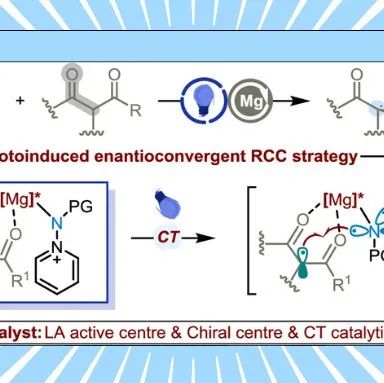 【JACS】兰州大学许鹏飞：通过镁介导的电荷转移光催化实现对映汇聚式自由基-自由基交叉偶联