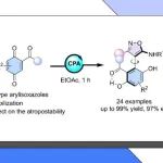 【CJC】长沙理工罗维纬：手性磷酸催化合成轴手性NOBIN型芳基异噁唑