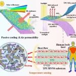 济南大学王鹏/浙理工孟垂舟等 AFM：具有高响应速度与高稳定性的柔性温度传感器
