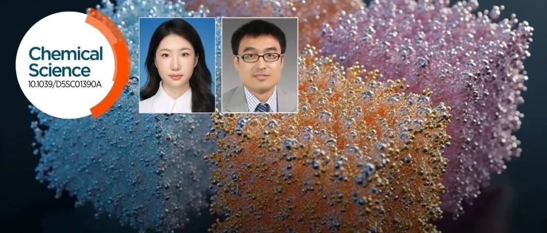 中石大(北京)李振兴团队: 二维MOF纳米片电催化应用