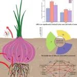 西北农林科技大学博士一作在Top期刊（IF=10.3）发表研究成果