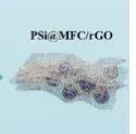 中南林科大《Electrochimica Acta》：PSi@MFC/石墨烯复合材料，用于高性能锂离子电池