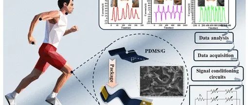 上海电机学院《ACS AEM》：基于PDMS/石墨烯 导电复合膜的柔性应变传感器，用于人体运动检测