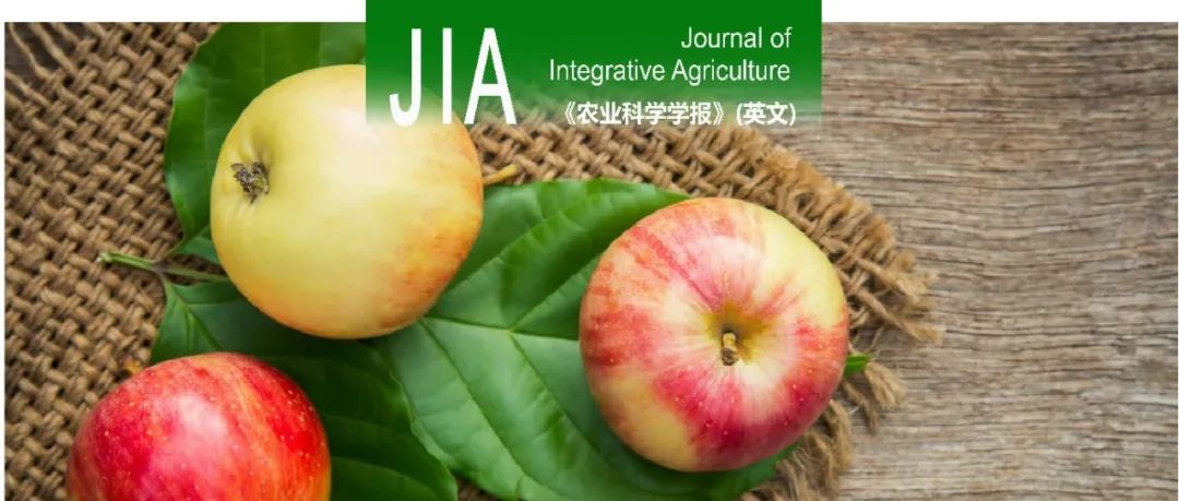 JIA | 西北农林科技大学马锋旺教授团队发现MdMYB306-MdERF114激活自噬增强苹果对镉胁迫的耐受性