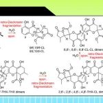 【Org. Lett.】中国海洋大学李德海：真菌色满酮内酯及其二聚体生物合成途径的解析