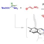 赵宝国教授和陈雯雯教授团队在《Angewandte Chemie International Edition》上发表最新研究成果