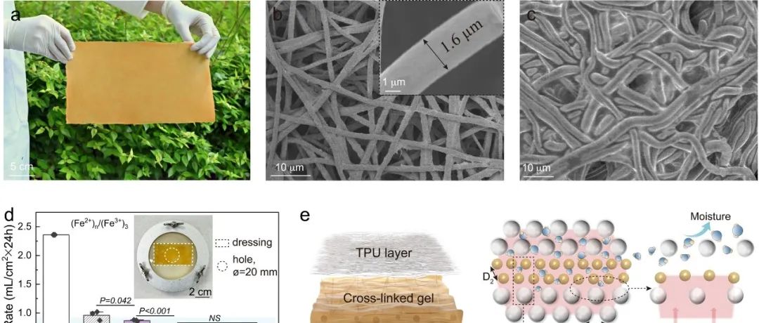 南洋理工大学魏磊教授团队 Nat. Biomed. Eng.：用于智能伤口监测和加速愈合的纤维复合热原电池敷料