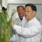祝贺！山东农业大学孔令让教授