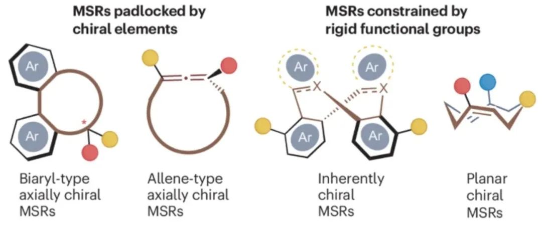 郑州大学：手性中等环 | Nature Reviews Chemistry