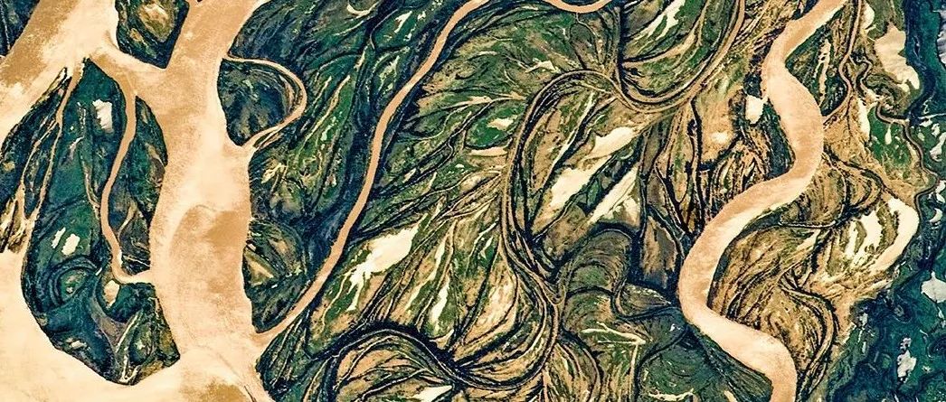 Science｜开创小胶质细胞替换的研究团队全球首次成功开展临床治疗并证明其有效性