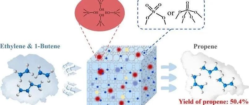 浙大肖丰收、王成涛团队Chem & Bio Engineering | 富羟基巢WO&#8339;/DeAl-Beta催化剂实现烯烃高效歧化