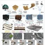 华南理工《AFM》：超弹性生物质基碳气凝胶，通过静脉状网络和柱状结构增强，用于压阻式传感、高温应用和超级电容器