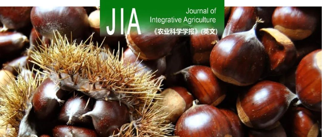 JIA | 北京农学院秦岭/邢宇教授团队开发通用性强、多态性高的栗属植物全基因组SSR分子标记