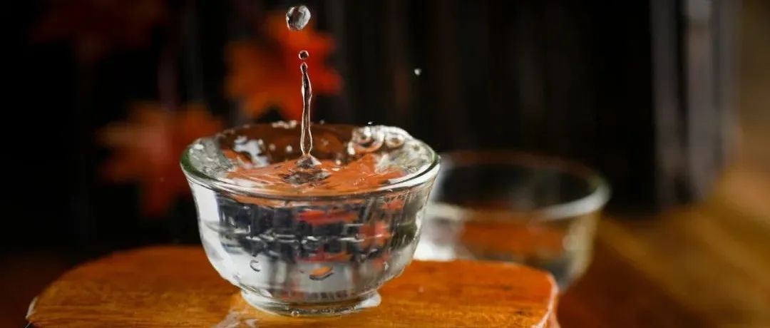 《食品科学》：许正宏教授、柴丽娟副研究员等：酱酒酒醅中普通高温放线菌的筛选及其挥发性物质代谢分析