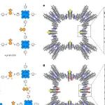 研究前沿：共价有机框架COFs-光催化 | Nature Materials