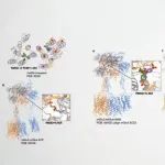 APS｜AlphaFold3预测的GPCR-小分子复合物评测