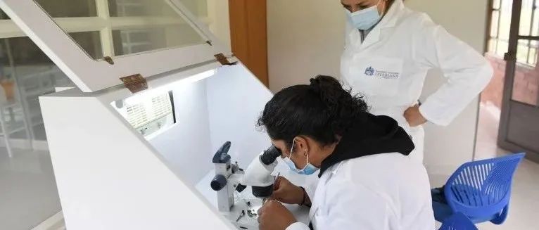 “学术出身”如何影响学术成就？大团队助成名，小团队更留人