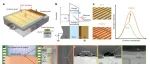 研究进展：超表面-等离子体生物传感器 | Nature Photonics