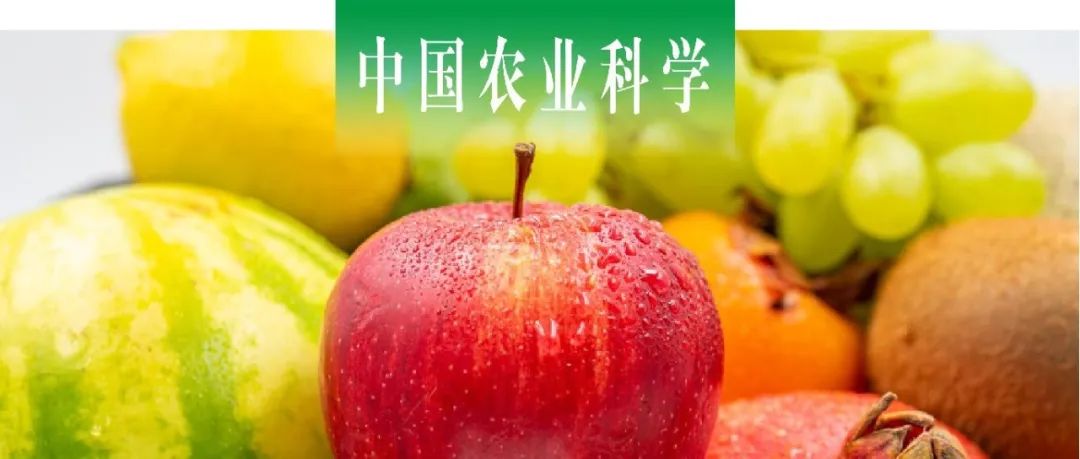 中国农业科学｜中国农业科学院李培武院士联合浙江大学陆柏益课题组发表“关于现代农产品品质学的若干思考”