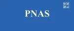 PNAS：锂电池装上“智能灭火器”——中科院化学所张莹、郭玉国、白春礼在热失控预防方面取得进展
