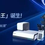 显微镜「卷王」诞生！单物镜光片技术让跨尺度观测〝纵享丝滑〞