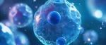 Adv Sci：挤一挤，变骨头？科学家发现干细胞“受挤压”后竟能变身成骨细胞！