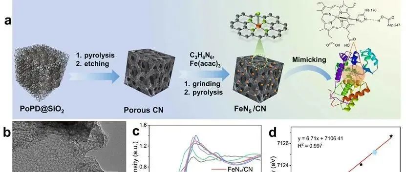 Inorg. Chem. | 轴向氮配位铁单原子催化剂实现农药高灵敏检测