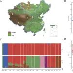 Adv Sci丨中国科学院刘秋月等团队研究揭示了绵羊气候适应性的遗传基础
