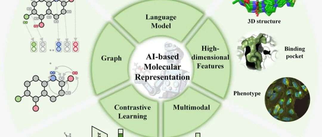 npj Drug Discov｜上海科技大学白芳等：分子表征方法的最新进展及其在骨架跃迁中的应用
