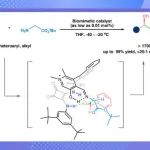 【Nat. Catal.】上海师大赵宝国/肖晓：仿生催化新突破——甘氨酸酯不对称Aldol反应