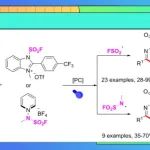 河北大学王力竞/李玮OL：光催化N-高烯丙基醛腙的氟磺酰化/氟磺酰胺化反应—制备FSO&#8322;-/FSO&#8322;N-功能化四氢哒嗪类化合物