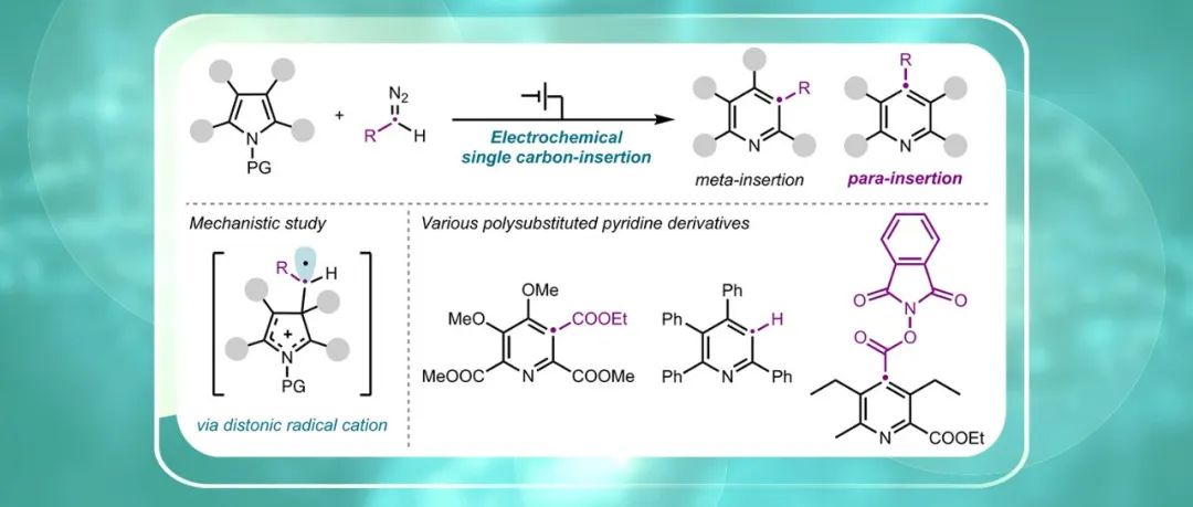 【JACS】横滨国立大学电催化：双自由基阳离子中间体首次实现吡咯的对位选择性单碳插入