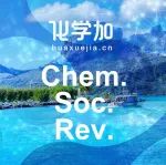 清华大学王铁峰和蓝晓程团队在炔烃选择性加氢研究方面取得重要进展