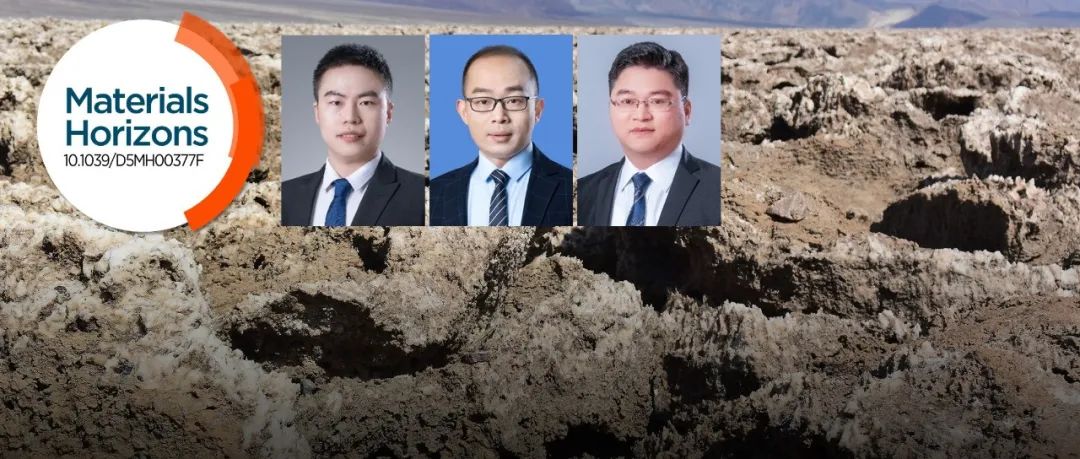 武大邓红兵/陈朝吉团队: 单件成本<1美分+零废水实现盐碱地修复