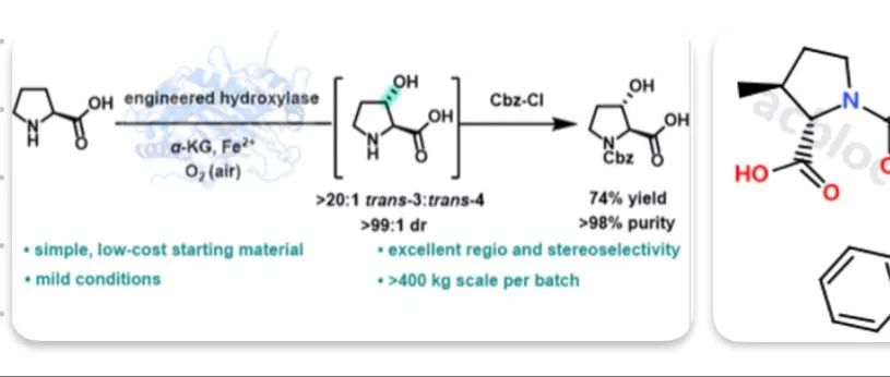 砌块之问：生物催化合成｜工业化反式-3-羟基-L-脯氨酸，是否有更大实用价值？