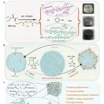 四川大学金勇教授团队 Nano Energy：具有可逆相变特性的太阳能驱动导电多功能水凝胶用于污水的净化与实时监测