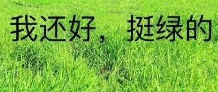 两篇毕业论文致谢同一个女朋友？哈哈哈哈！
