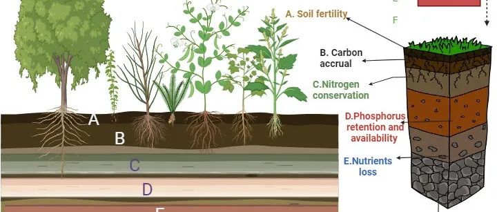 新疆生地所徐海量研究员团队提出“以根为本”的气候韧性草地生态解决方案
