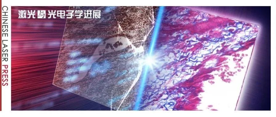“AI+光学”赋能精准诊疗：深度学习驱动的病理虚拟染色