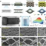 浙大最新《Science》！气凝胶材料领域取得重大突破