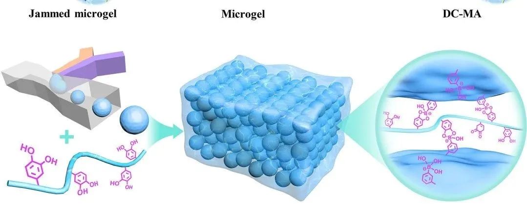 水凝胶化学结构表征：应用案例篇（核磁、红外、紫外……）